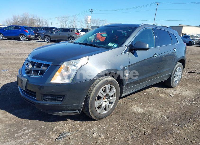 Photo 2 of 2011 Cadillac Srx LUXURY COLLECTION (VIN 3GYFNDEYXBS556758)