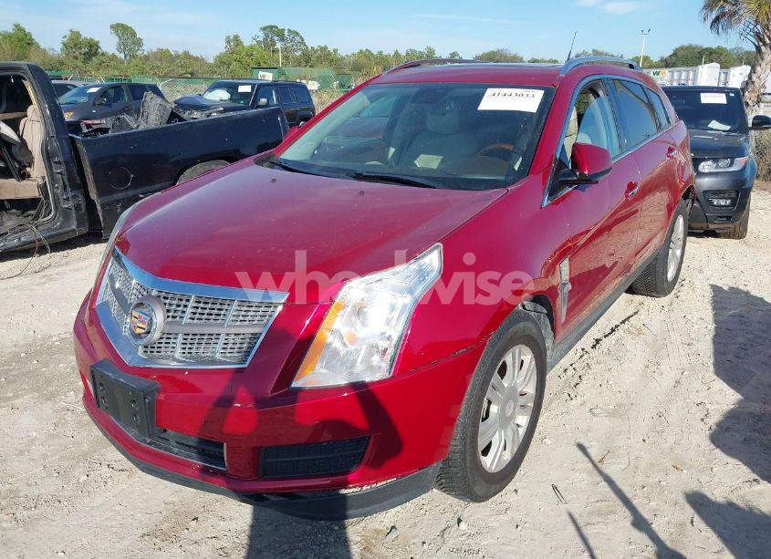 Photo 2 of 2011 Cadillac Srx LUXURY COLLECTION (VIN 3GYFNDEYXBS582048)
