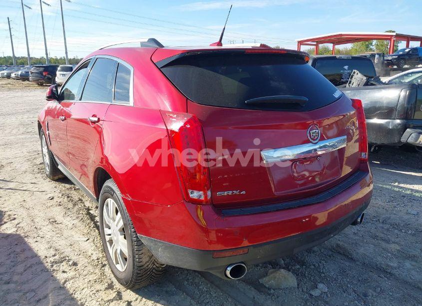 Photo 3 of 2011 Cadillac Srx LUXURY COLLECTION (VIN 3GYFNDEYXBS582048)