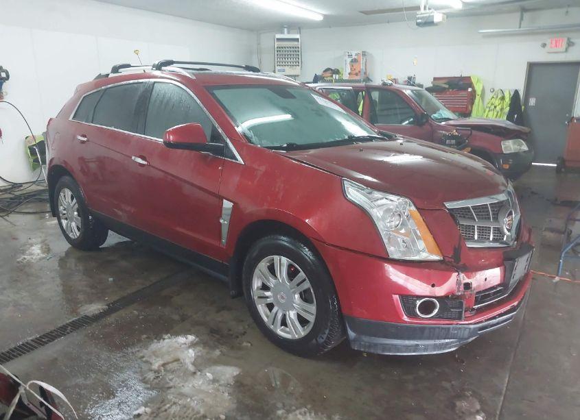 2011 Cadillac Srx LUXURY COLLECTION (VIN 3GYFNDEYXBS582485) main photo