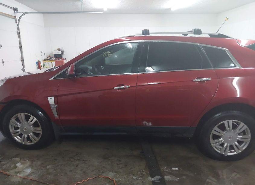 Photo 15 of 2011 Cadillac Srx LUXURY COLLECTION (VIN 3GYFNDEYXBS582485)