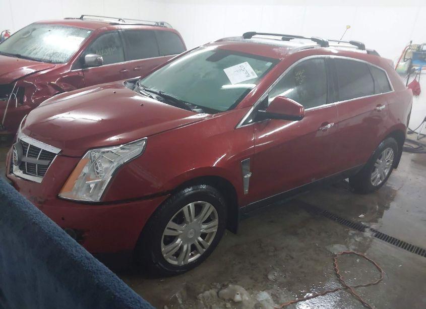 Photo 2 of 2011 Cadillac Srx LUXURY COLLECTION (VIN 3GYFNDEYXBS582485)