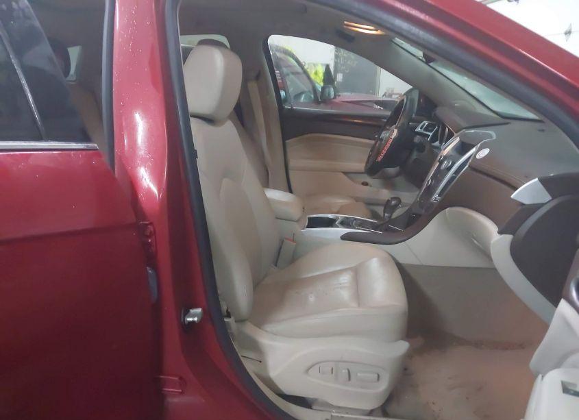 Photo 5 of 2011 Cadillac Srx LUXURY COLLECTION (VIN 3GYFNDEYXBS582485)