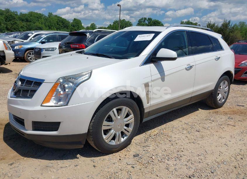 Photo 2 of 2011 Cadillac Srx LUXURY COLLECTION (VIN 3GYFNDEYXBS614786)