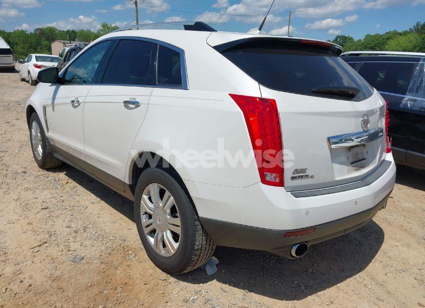 Photo 3 of 2011 Cadillac Srx LUXURY COLLECTION (VIN 3GYFNDEYXBS614786)