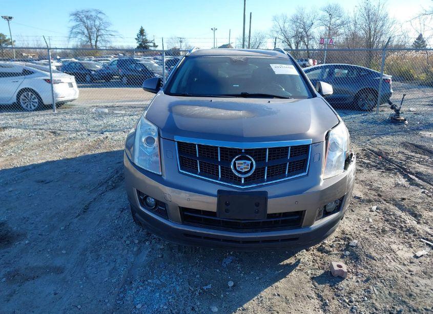 Photo 12 of 2012 Cadillac Srx PERFORMANCE COLLECTION (VIN 3GYFNEE31CS528567)