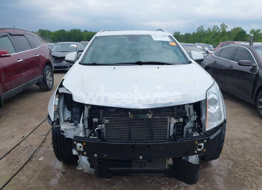 Photo 13 of 2012 Cadillac Srx PERFORMANCE COLLECTION (VIN 3GYFNEE32CS658275)