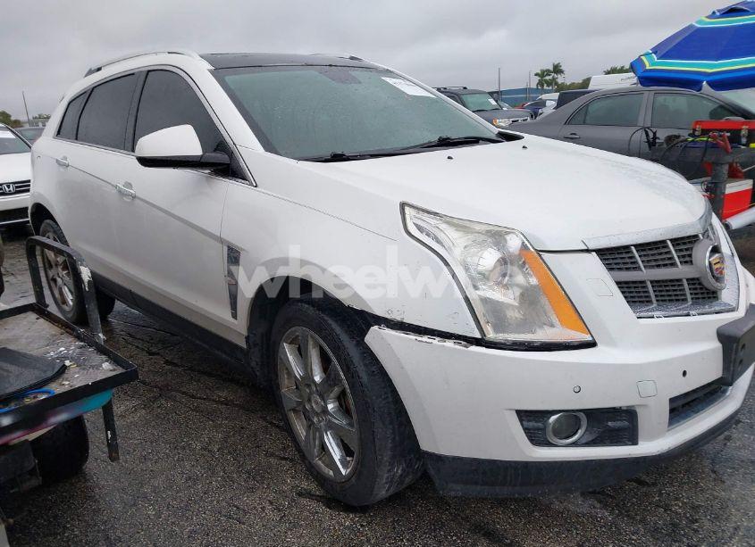 Photo 12 of 2012 Cadillac Srx PERFORMANCE COLLECTION (VIN 3GYFNEE33CS528697)