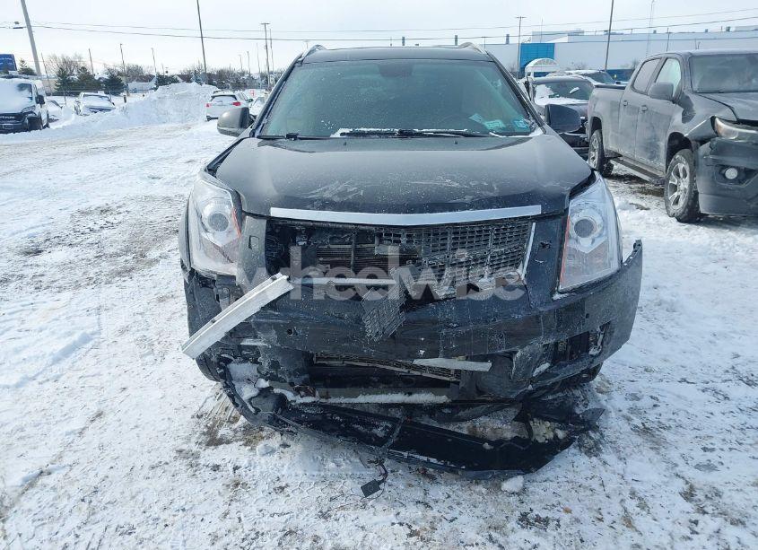 Photo 6 of 2012 Cadillac Srx PERFORMANCE COLLECTION (VIN 3GYFNEE33CS584476)