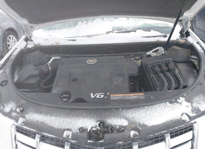 Photo 10 of 2014 Cadillac Srx LUXURY COLLECTION (VIN 3GYFNEE38ES517312)