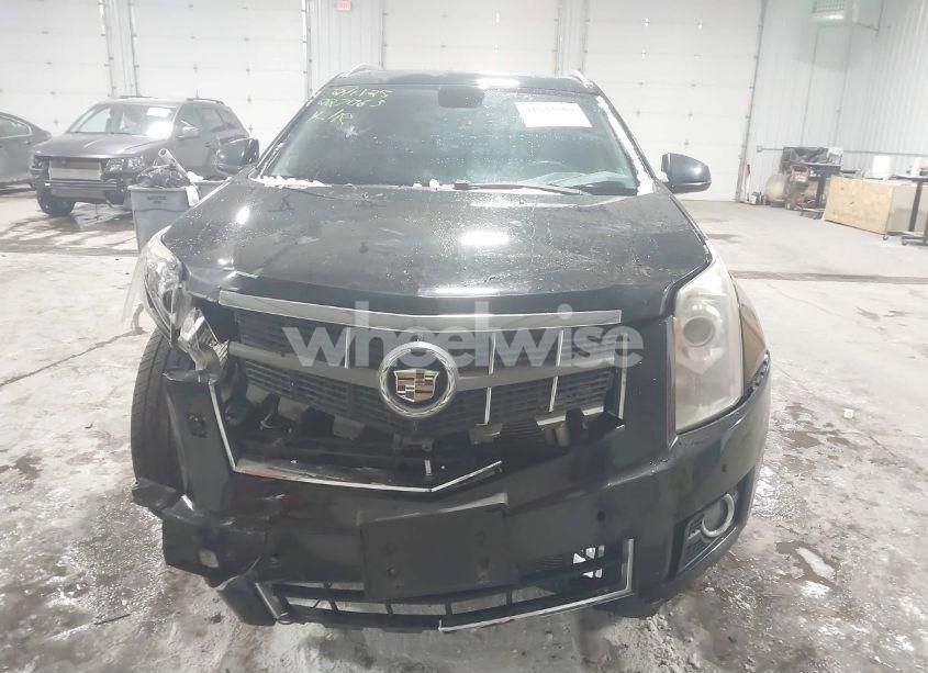 Photo 13 of 2011 Cadillac Srx PERFORMANCE COLLECTION (VIN 3GYFNEEY0BS663386)