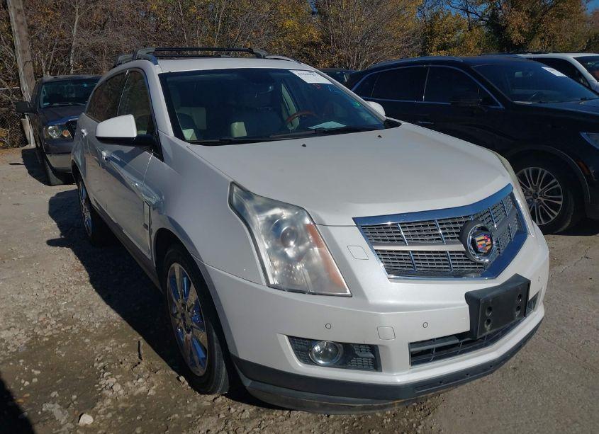 2010 Cadillac Srx PERFORMANCE COLLECTION (VIN 3GYFNEEY1AS560248) main photo