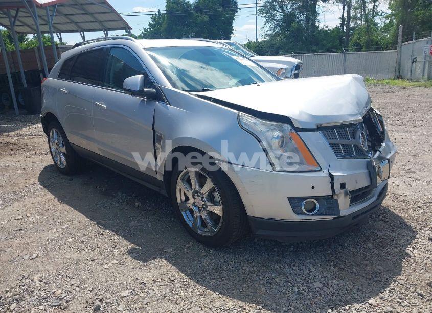 2011 Cadillac Srx PERFORMANCE COLLECTION (VIN 3GYFNEEY4BS521137) main photo