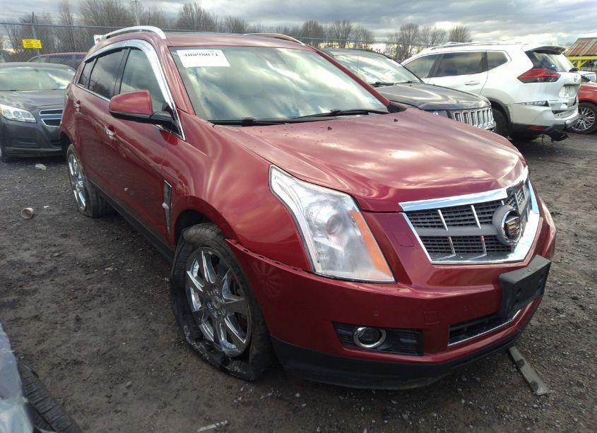 2011 Cadillac Srx PERFORMANCE COLLECTION (VIN 3GYFNEEY6BS534603) main photo