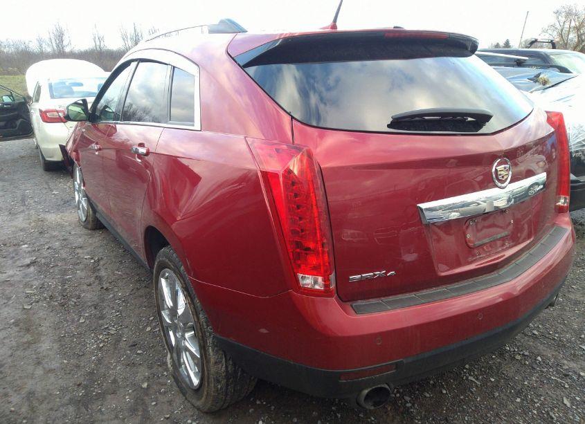 Photo 3 of 2011 Cadillac Srx PERFORMANCE COLLECTION (VIN 3GYFNEEY6BS534603)