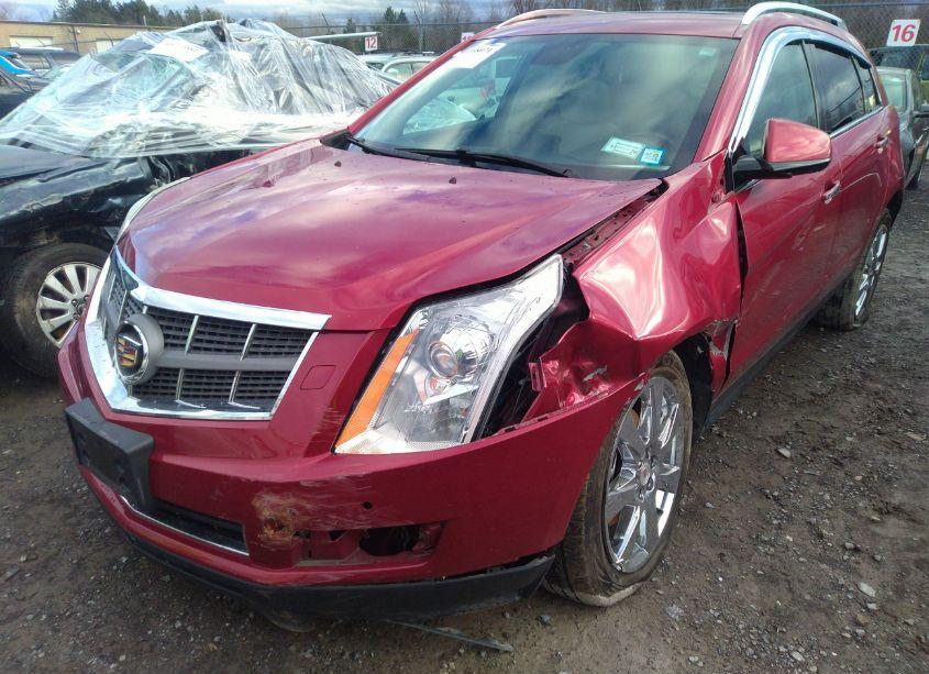 Photo 6 of 2011 Cadillac Srx PERFORMANCE COLLECTION (VIN 3GYFNEEY6BS534603)