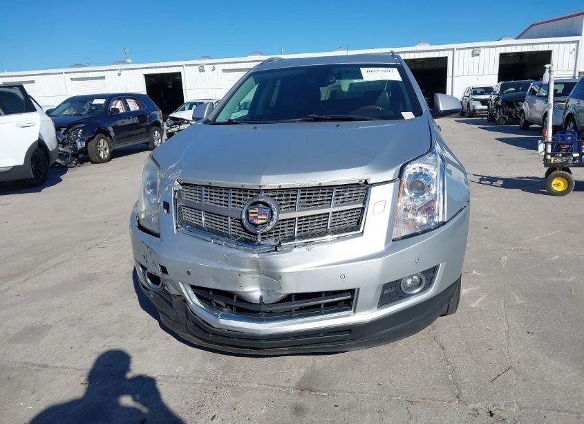 Photo 13 of 2011 Cadillac Srx PERFORMANCE COLLECTION (VIN 3GYFNEEY6BS662050)