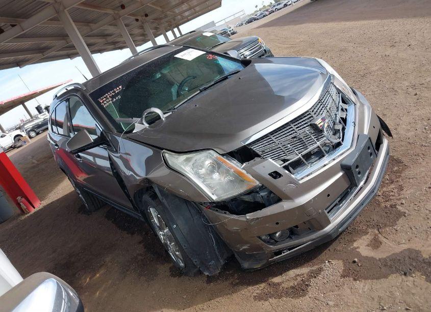 2011 Cadillac Srx PERFORMANCE COLLECTION (VIN 3GYFNEEYXBS629942) main photo