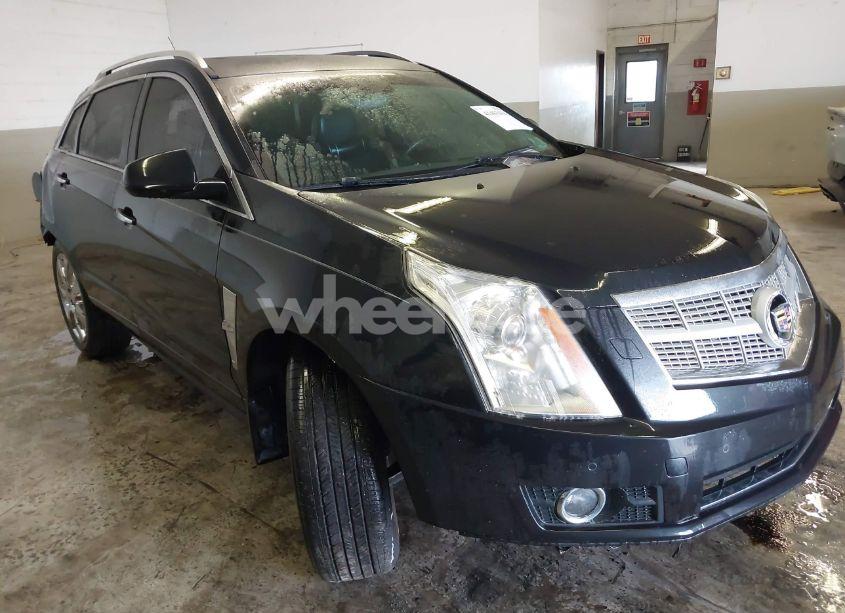 2012 Cadillac Srx PREMIUM COLLECTION (VIN 3GYFNFE30CS565521) main photo