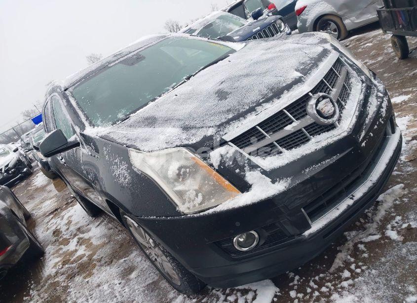 2012 Cadillac Srx PREMIUM COLLECTION (VIN 3GYFNFE37CS513142) main photo