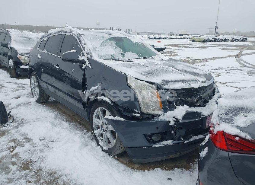 2011 Cadillac Srx PREMIUM COLLECTION (VIN 3GYFNFEY0BS610256) main photo