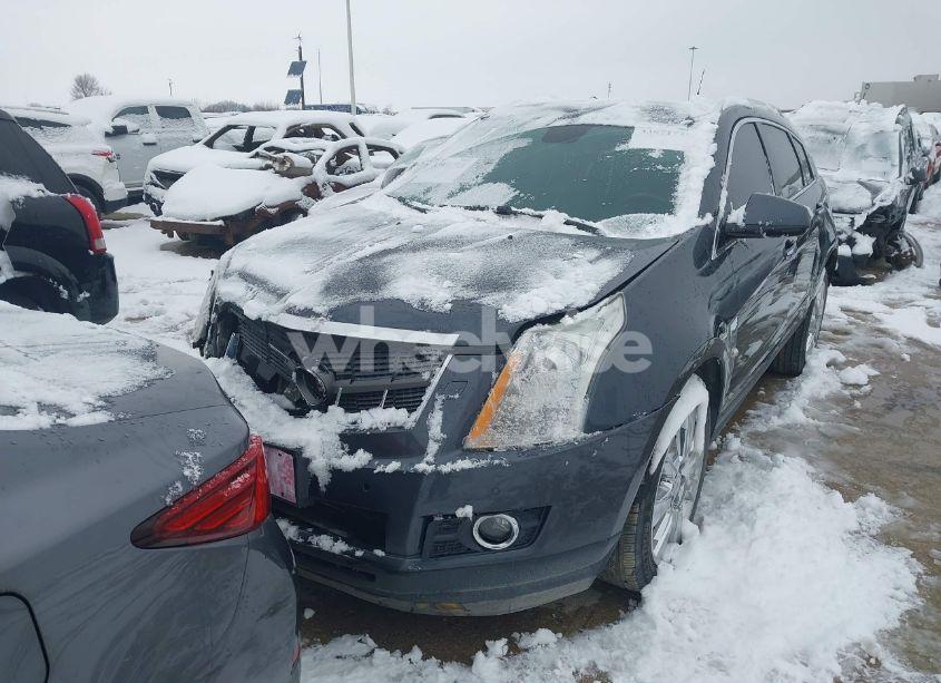 Photo 12 of 2011 Cadillac Srx PREMIUM COLLECTION (VIN 3GYFNFEY0BS610256)