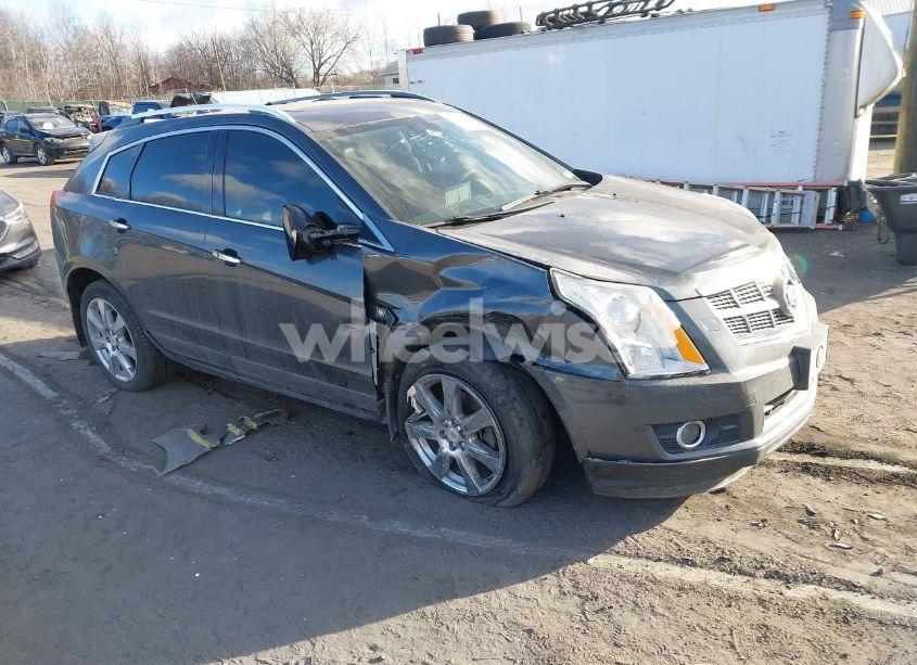 2010 Cadillac Srx PREMIUM COLLECTION (VIN 3GYFNFEY6AS534928) main photo