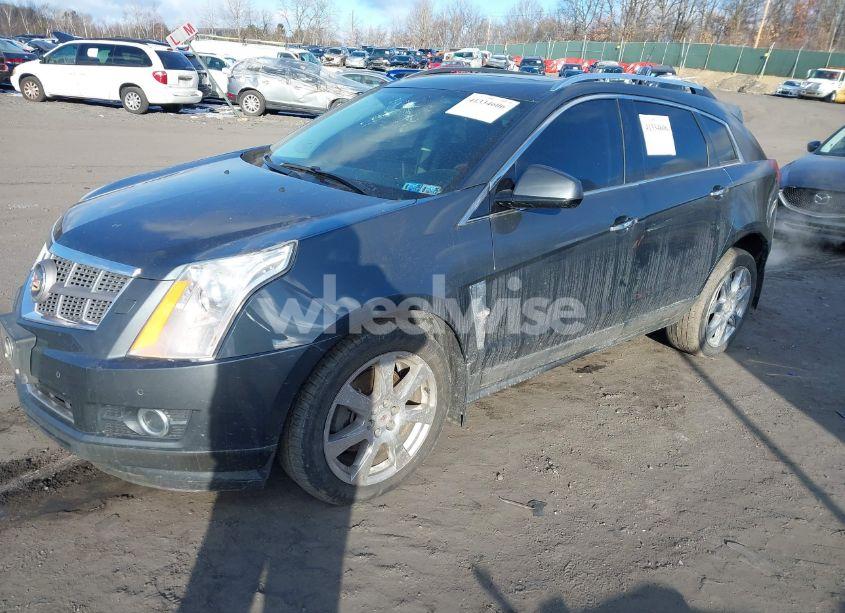 Photo 2 of 2010 Cadillac Srx PREMIUM COLLECTION (VIN 3GYFNFEY6AS534928)