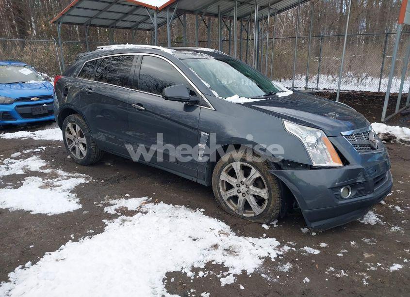 2011 Cadillac Srx PREMIUM COLLECTION (VIN 3GYFNFEYXBS636542) main photo