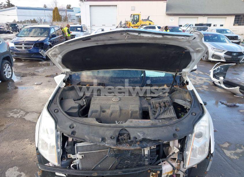 Photo 10 of 2013 Cadillac Srx LUXURY COLLECTION (VIN 3GYFNGE31DS512169)