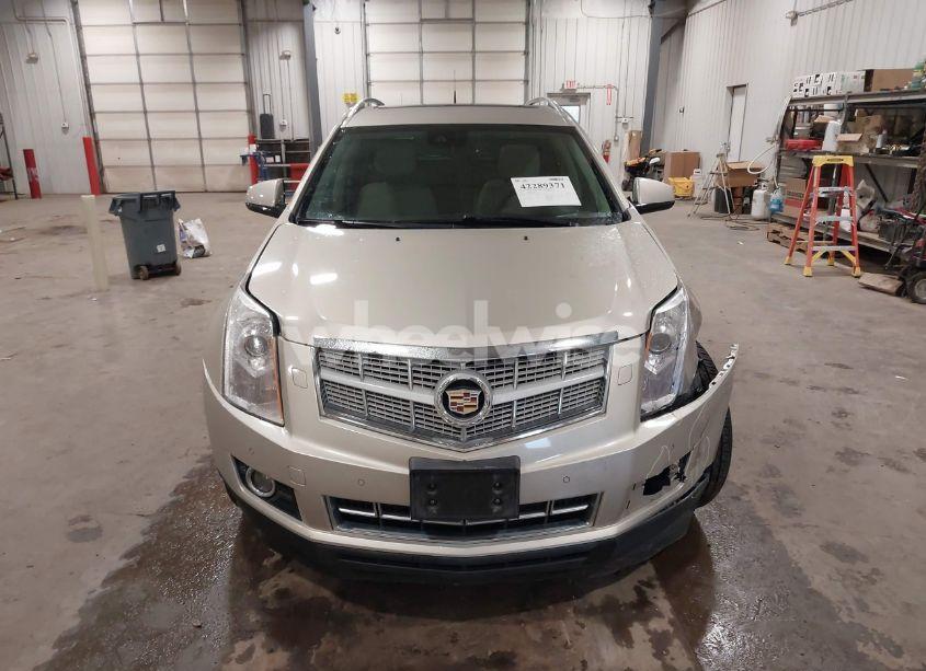 Photo 12 of 2014 Cadillac Srx PREMIUM COLLECTION (VIN 3GYFNGE31ES523917)