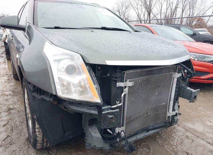 Photo 6 of 2013 Cadillac Srx LUXURY COLLECTION (VIN 3GYFNGE33DS558134)