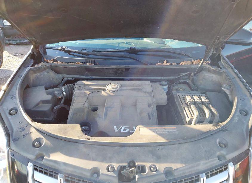 Photo 10 of 2013 Cadillac Srx LUXURY COLLECTION (VIN 3GYFNGE34DS568980)