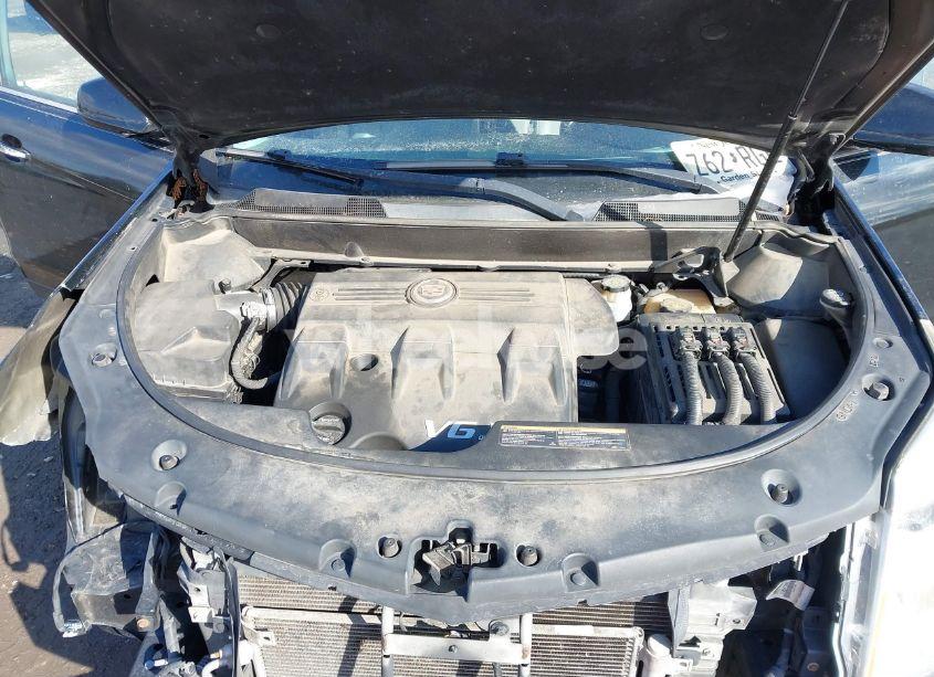 Photo 10 of 2012 Cadillac Srx STANDARD (VIN 3GYFNGE35CS579596)