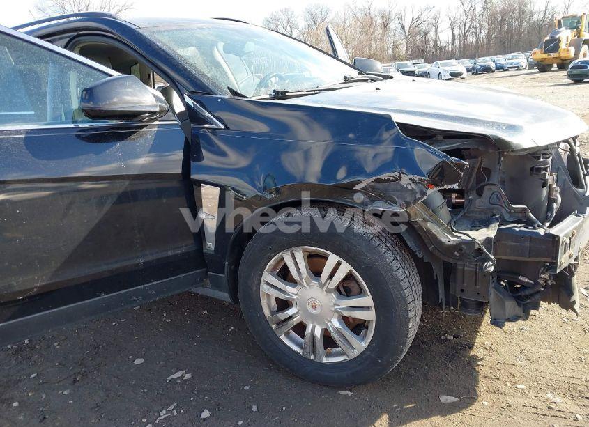 Photo 12 of 2012 Cadillac Srx STANDARD (VIN 3GYFNGE35CS579596)