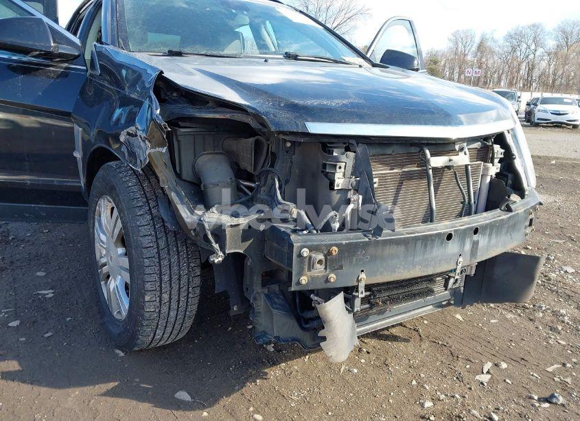 Photo 6 of 2012 Cadillac Srx STANDARD (VIN 3GYFNGE35CS579596)