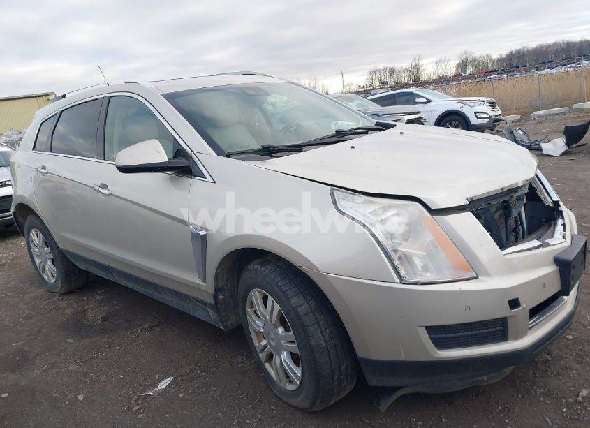 2013 Cadillac Srx LUXURY COLLECTION (VIN 3GYFNGE38DS559537) main photo