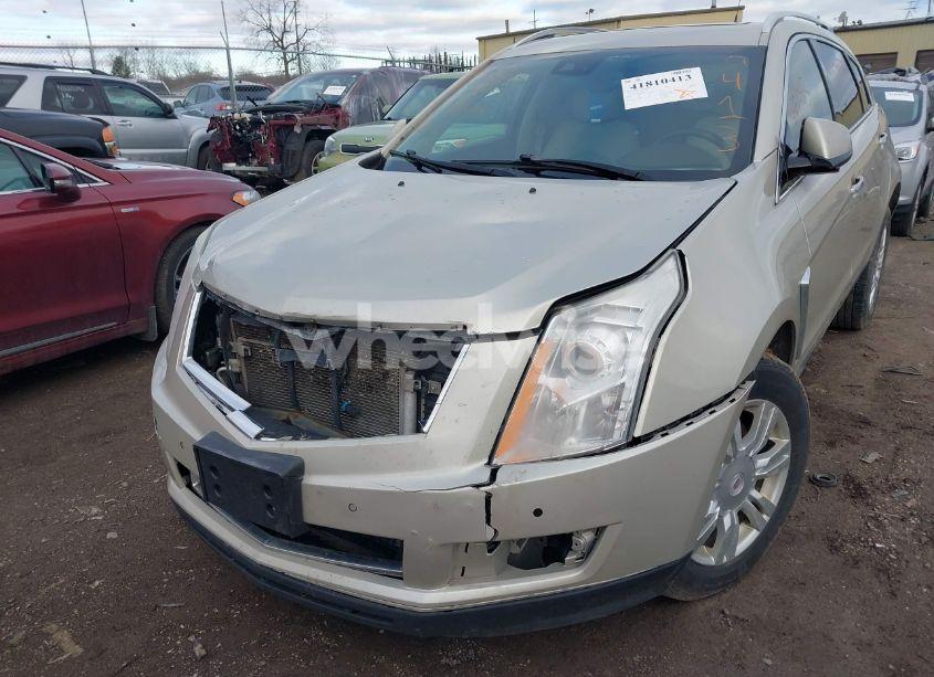Photo 6 of 2013 Cadillac Srx LUXURY COLLECTION (VIN 3GYFNGE38DS559537)
