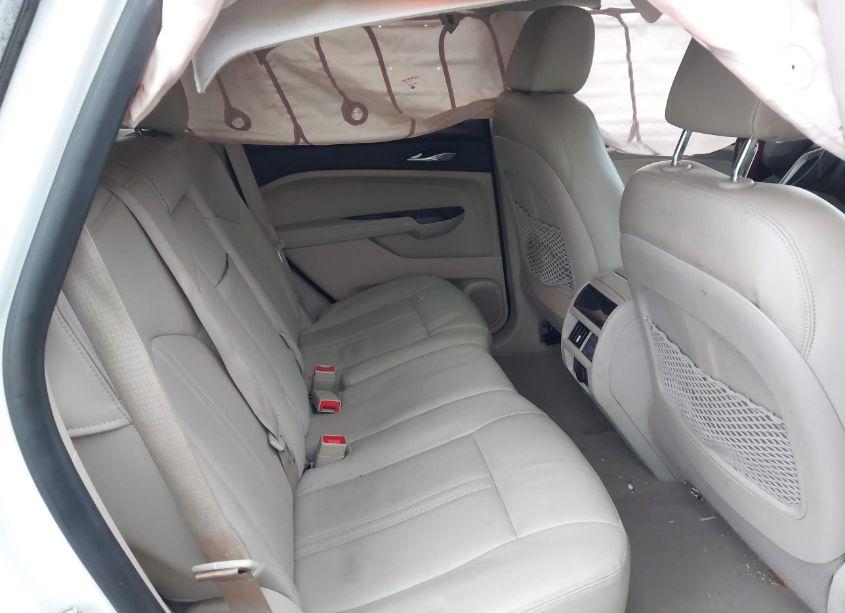 Photo 8 of 2013 Cadillac Srx LUXURY COLLECTION (VIN 3GYFNGE39DS573737)