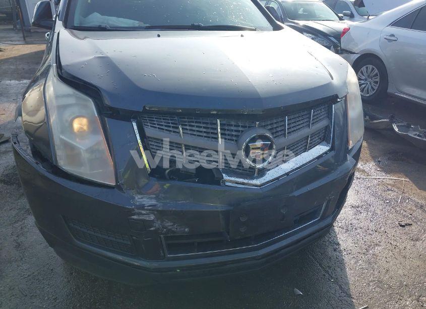Photo 6 of 2010 Cadillac Srx STANDARD (VIN 3GYFNGEY0AS584276)