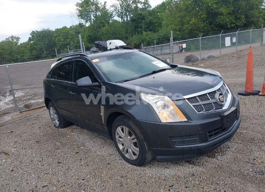 2011 Cadillac Srx STANDARD (VIN 3GYFNGEY0BS538822) main photo
