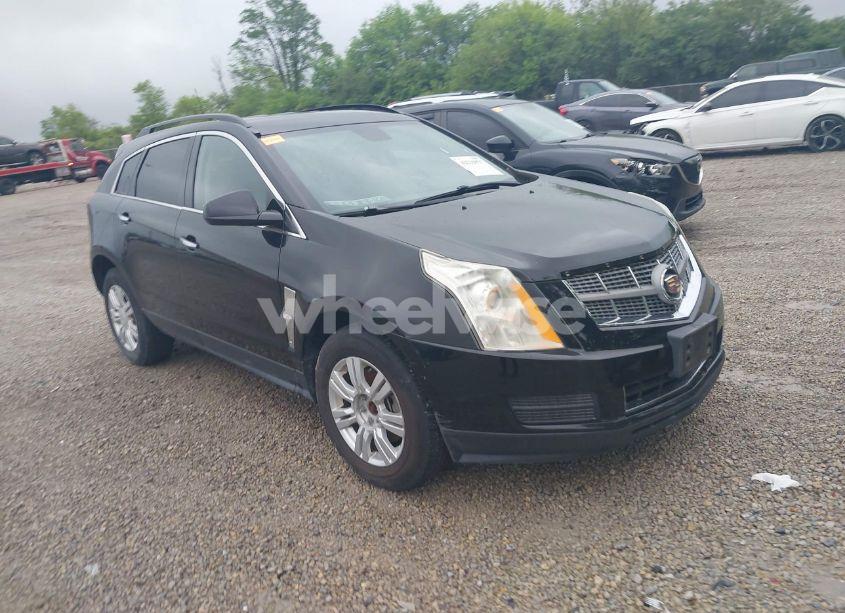 2011 Cadillac Srx STANDARD (VIN 3GYFNGEY2BS559493) main photo