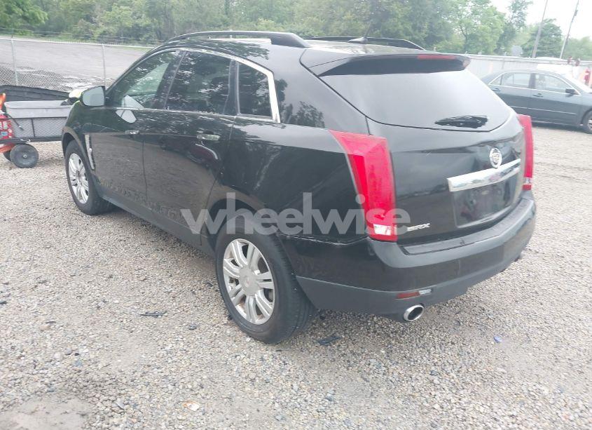 Photo 3 of 2011 Cadillac Srx STANDARD (VIN 3GYFNGEY2BS559493)