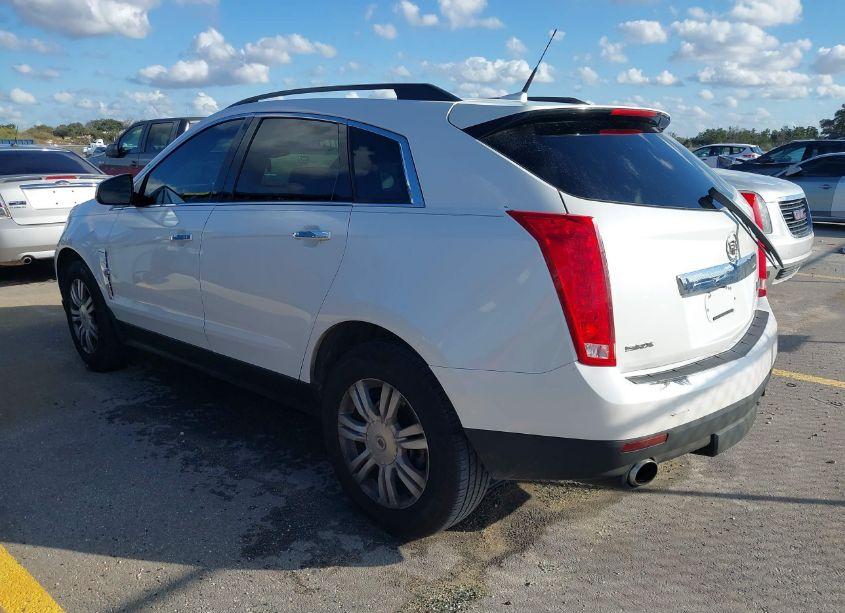 Photo 3 of 2011 Cadillac Srx STANDARD (VIN 3GYFNGEY7BS646239)