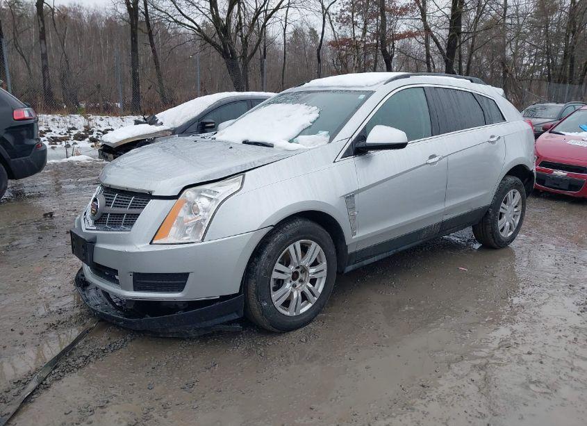 Photo 2 of 2010 Cadillac Srx STANDARD (VIN 3GYFNGEY8AS607500)