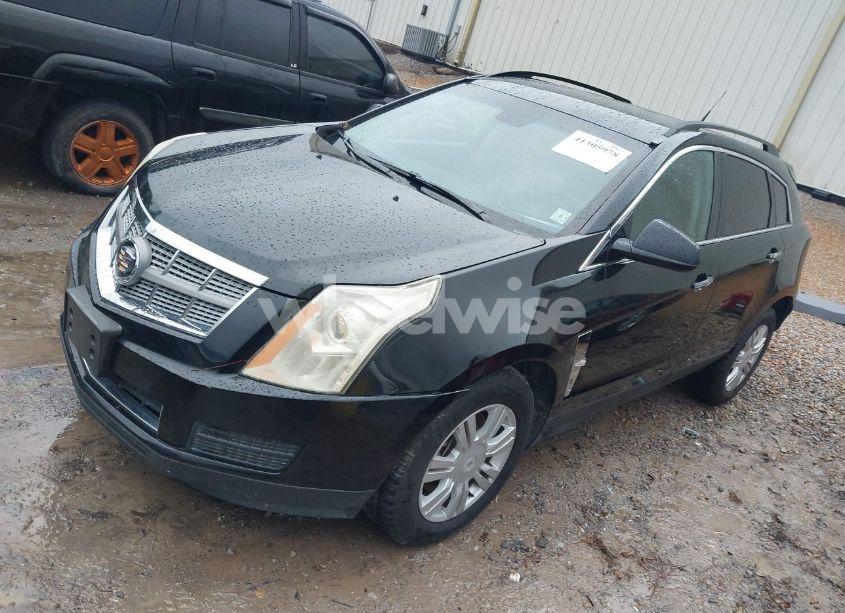 Photo 2 of 2011 Cadillac Srx STANDARD (VIN 3GYFNGEY9BS535465)