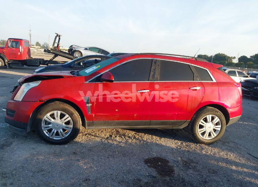 Photo 14 of 2011 Cadillac Srx STANDARD (VIN 3GYFNGEYXBS570001)