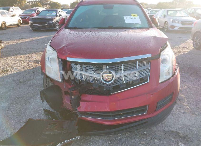 Photo 6 of 2011 Cadillac Srx STANDARD (VIN 3GYFNGEYXBS570001)