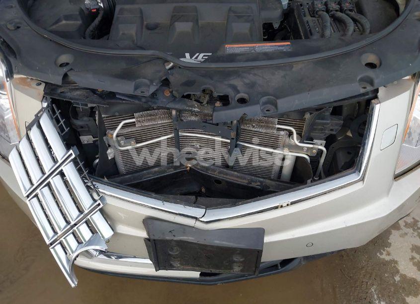 Photo 6 of 2013 Cadillac Srx PERFORMANCE COLLECTION (VIN 3GYFNHE31DS645455)
