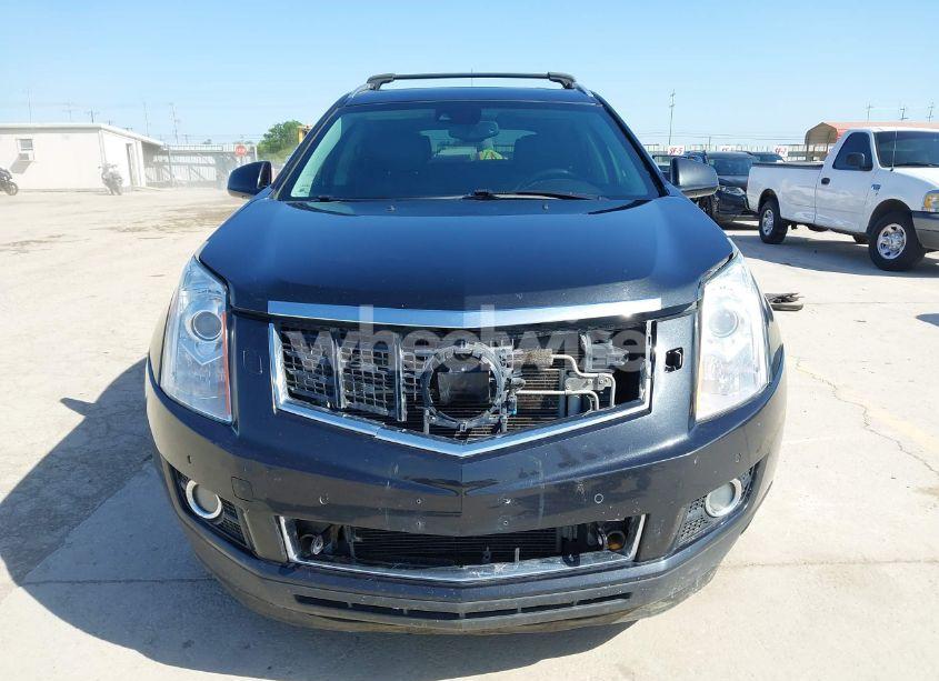 Photo 12 of 2013 Cadillac Srx PERFORMANCE COLLECTION (VIN 3GYFNHE35DS548632)
